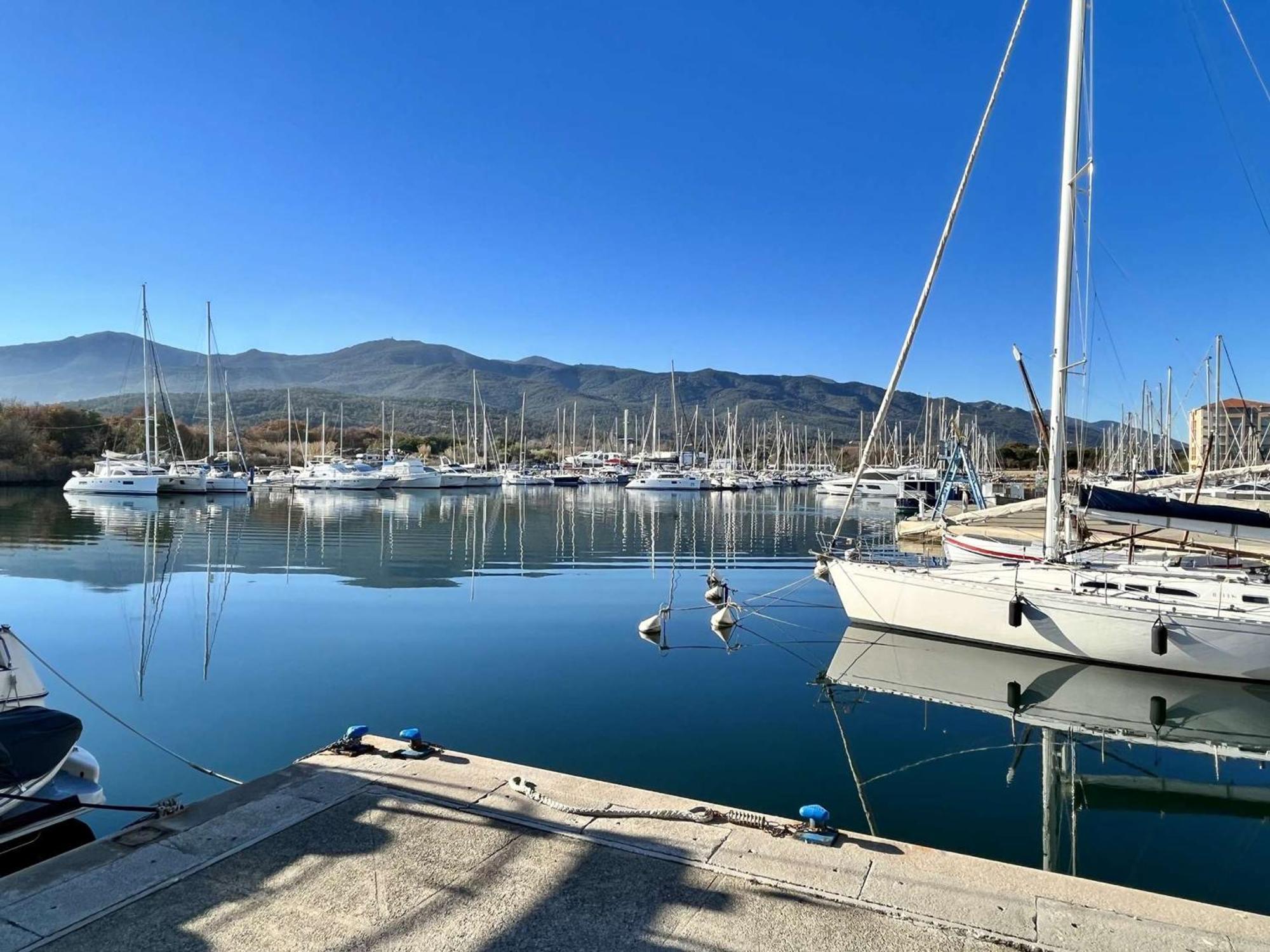 Appartement 3 Pieces Avec Terrasse Et Jardin, Proche Plage Et Commerces, 2 Parkings, Argeles-Sur-Mer - Fr-1-225-773 Esterno foto