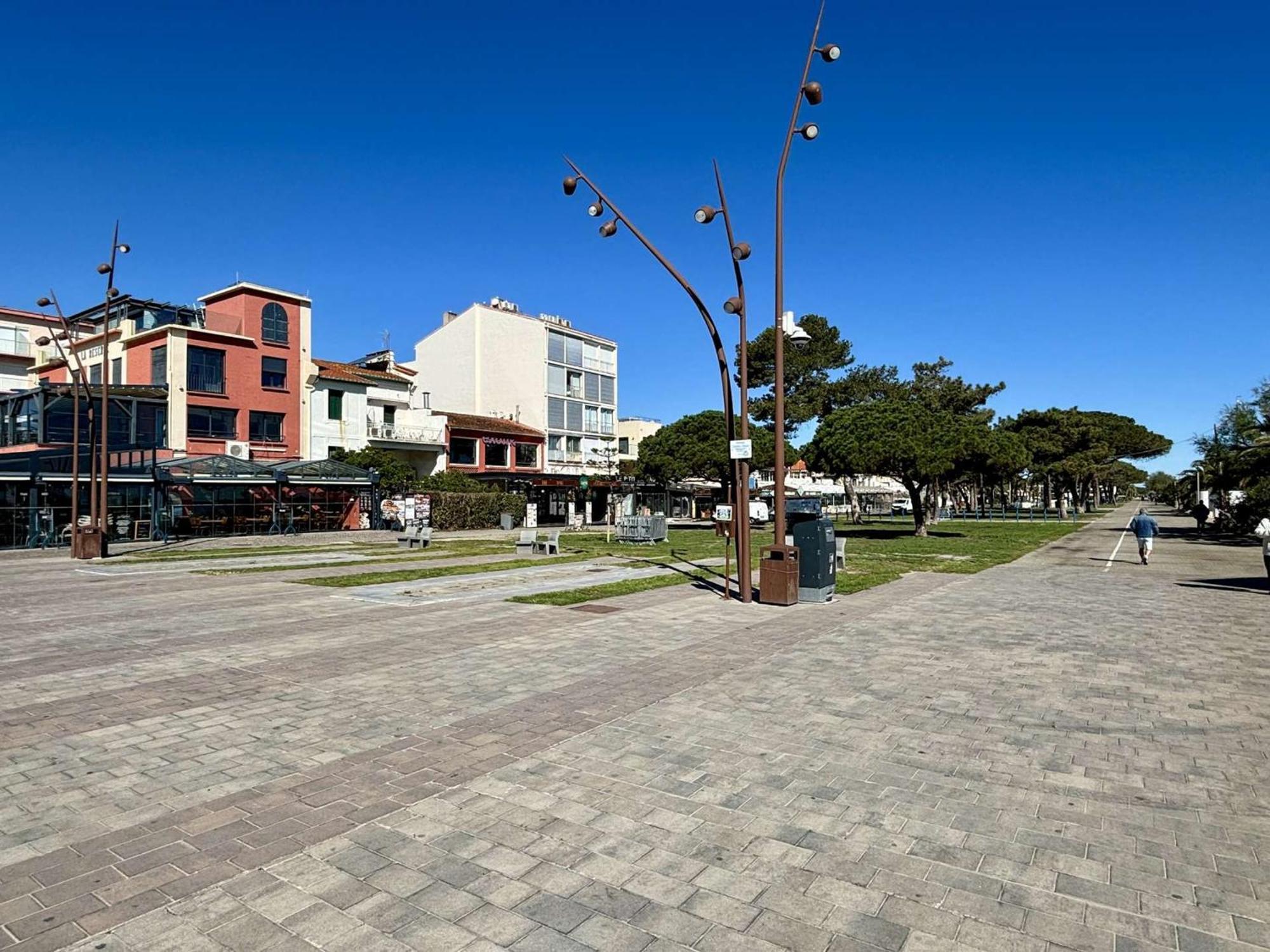 Appartement 3 Pieces Avec Terrasse Et Jardin, Proche Plage Et Commerces, 2 Parkings, Argeles-Sur-Mer - Fr-1-225-773 Esterno foto